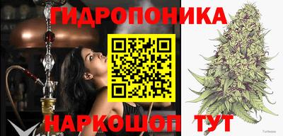 гашик Апрелевка